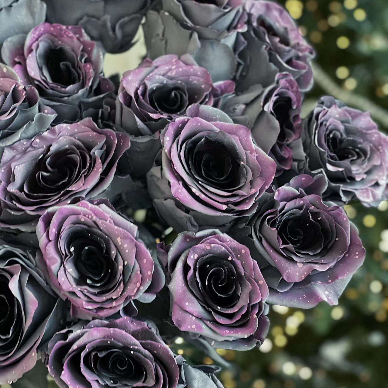 🌹【7 days germination】Last Day Up to 80% OFF💐Beautiful Climbing Rose Seeds