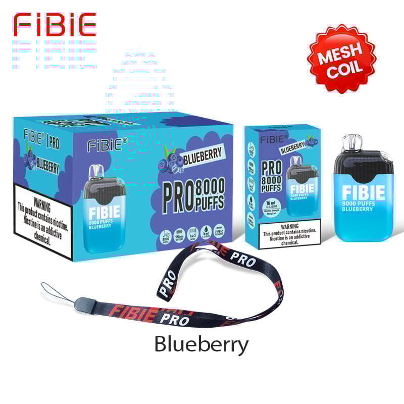 Blueberry Flavor Disposable Vape | FIBIE 8000 Puffs