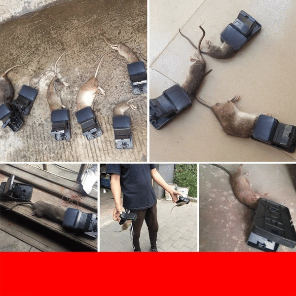 🔥LAST DAY 49% OFF - High Sensitivity Powerful Mouse Trap