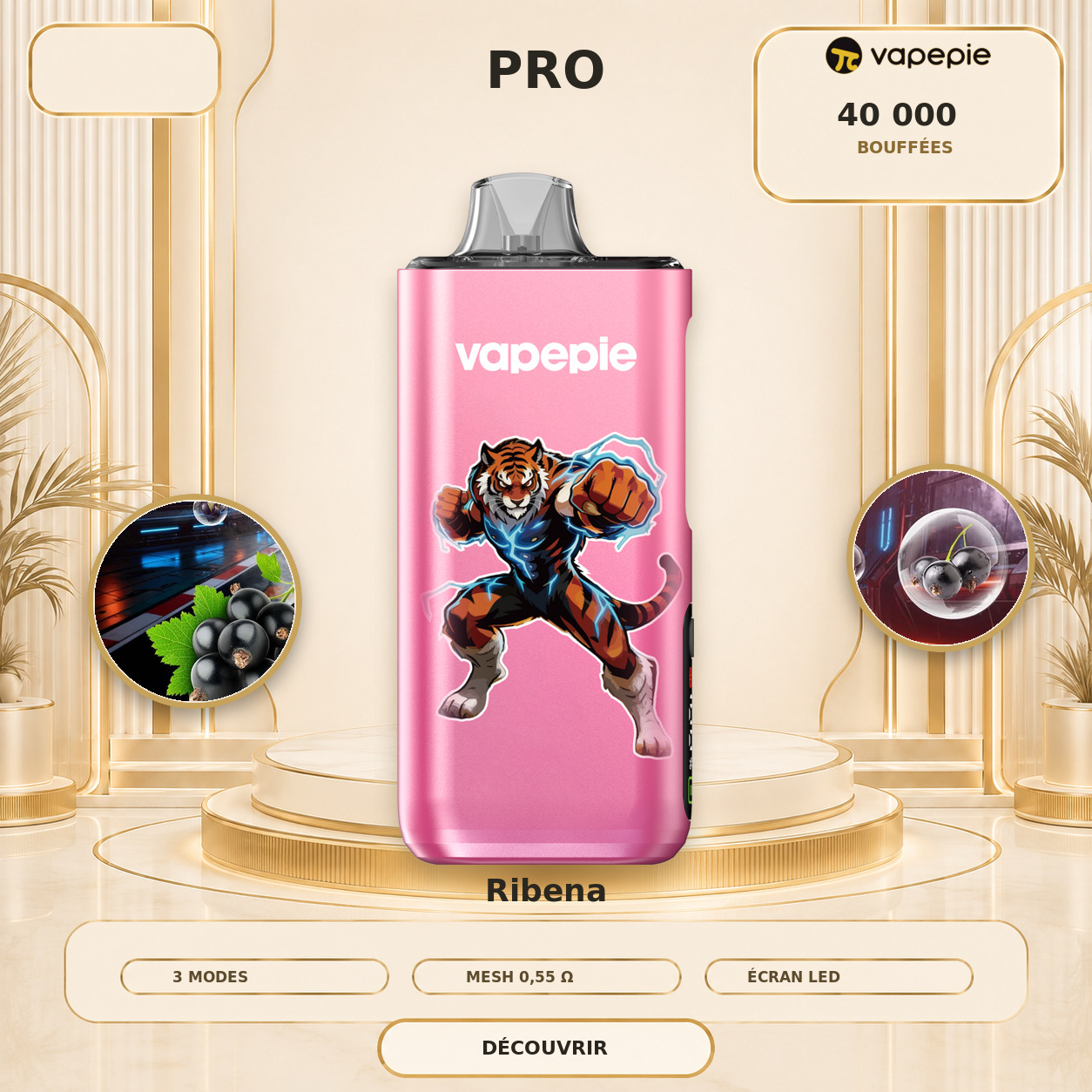 Cassis | PRO | 40 000 bouffées