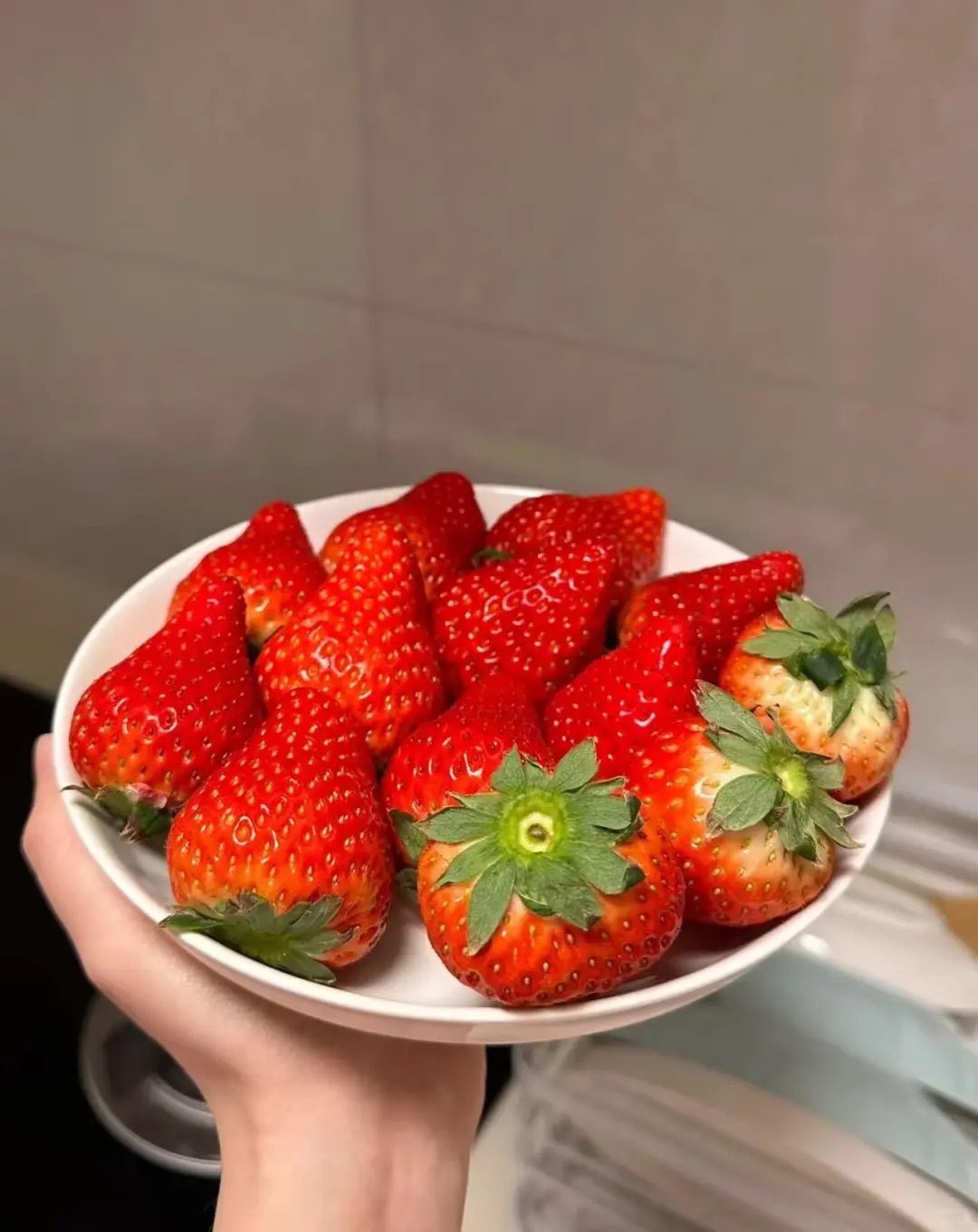 All-season Strawberry Seeds 🍓EverBloom Berries