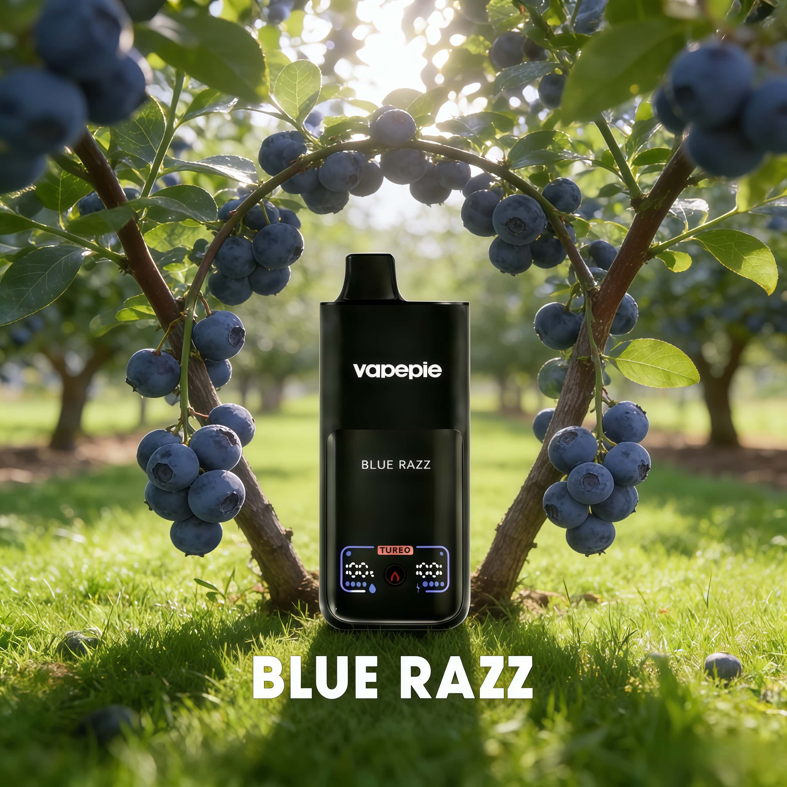 Blue Razz | 70000 Puffs Rechargeable Disposable Vape