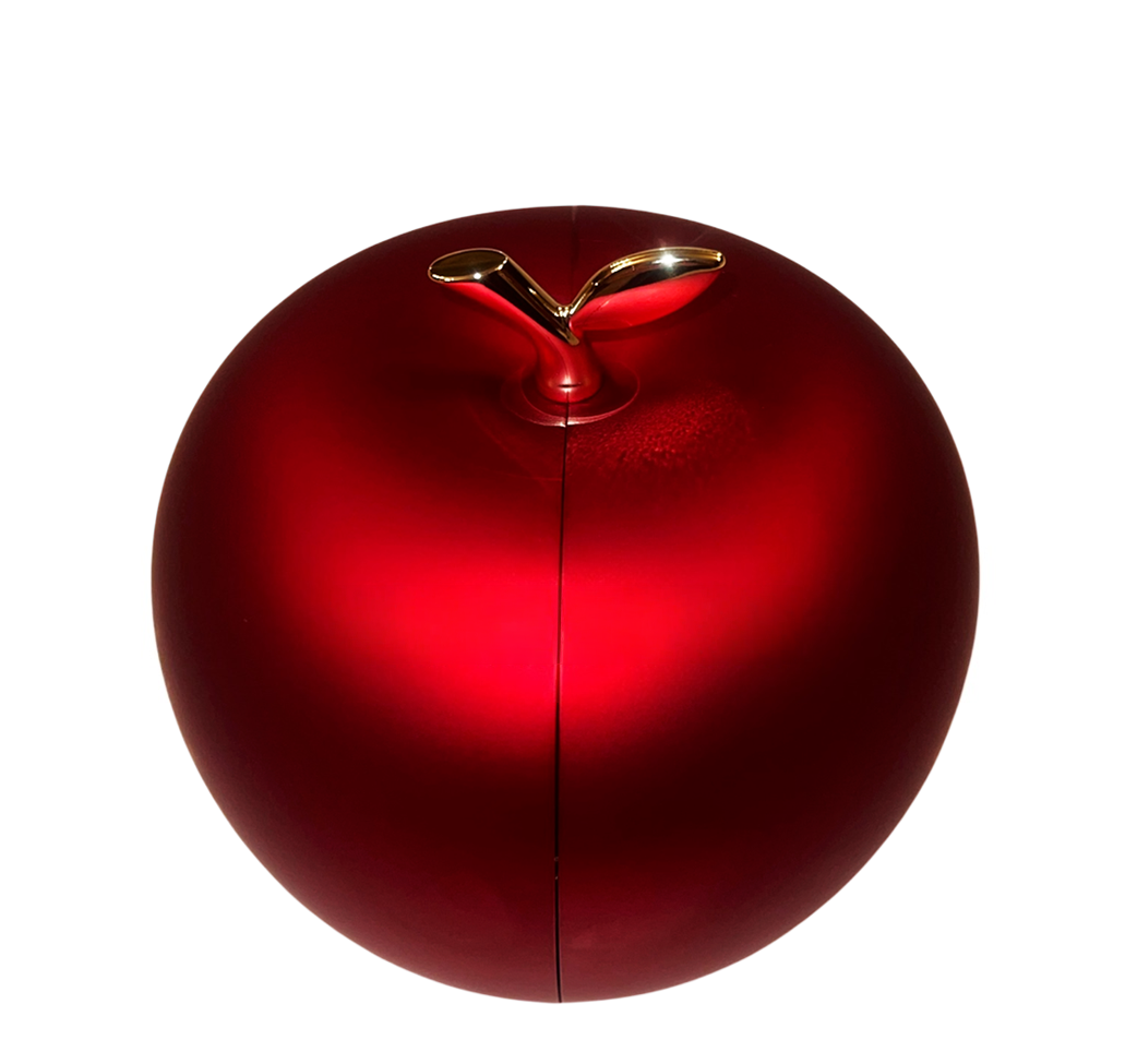 Luxury Rose & Apple Dual-Open Jewelry Gift Box