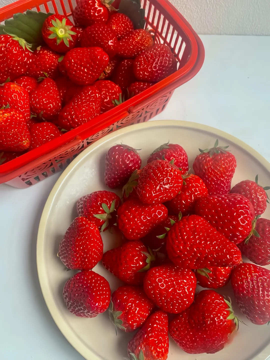 All-season Strawberry Seeds 🍓EverBloom Berries