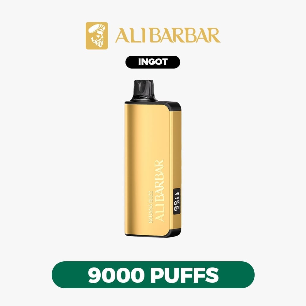 Blueberry Mint Flavor Vape | ALIBARBAR INGOT 9000 PUFFS