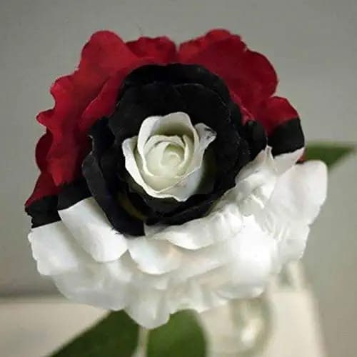 Pok??mon rose - Rare red white black rose