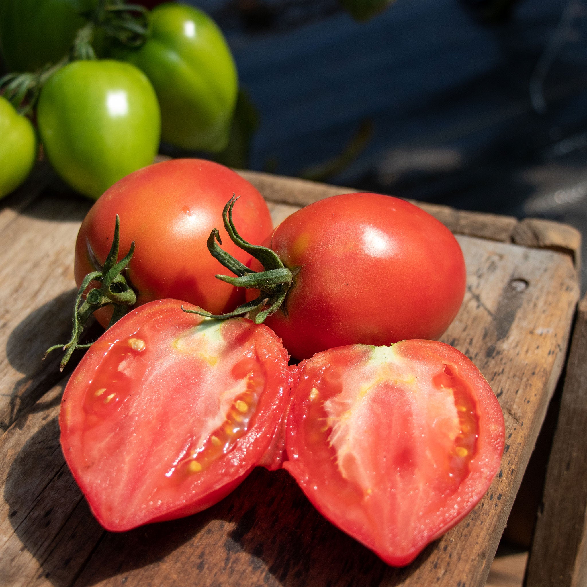 Mango Honey Tomato Seeds