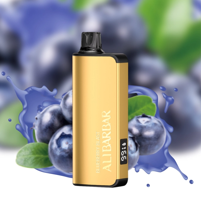 Blueberry Blast Flavor Vape | ALIBARBAR INGOT 9000 PUFFS