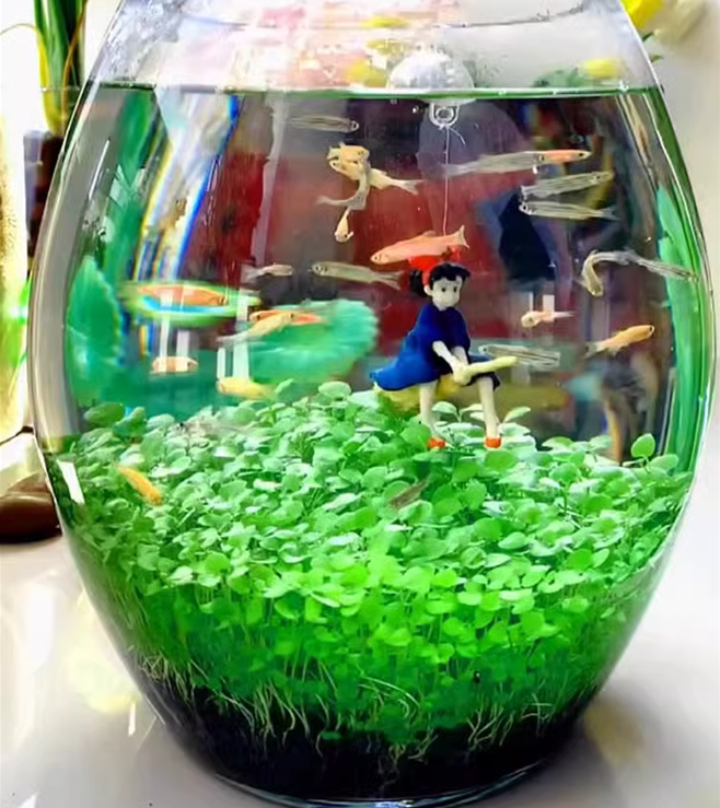 e???Air Purifying Fish Tank Aquatic Plant Seeds