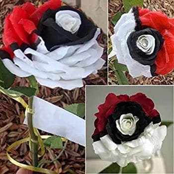 Pok??mon rose - Rare red white black rose
