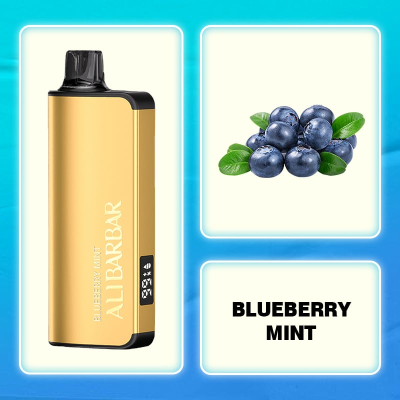 Alibarbar Ingot 9000 PUFFS Seamless Vaping Australian Warehouse