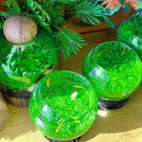e???Air Purifying Fish Tank Aquatic Plant Seeds