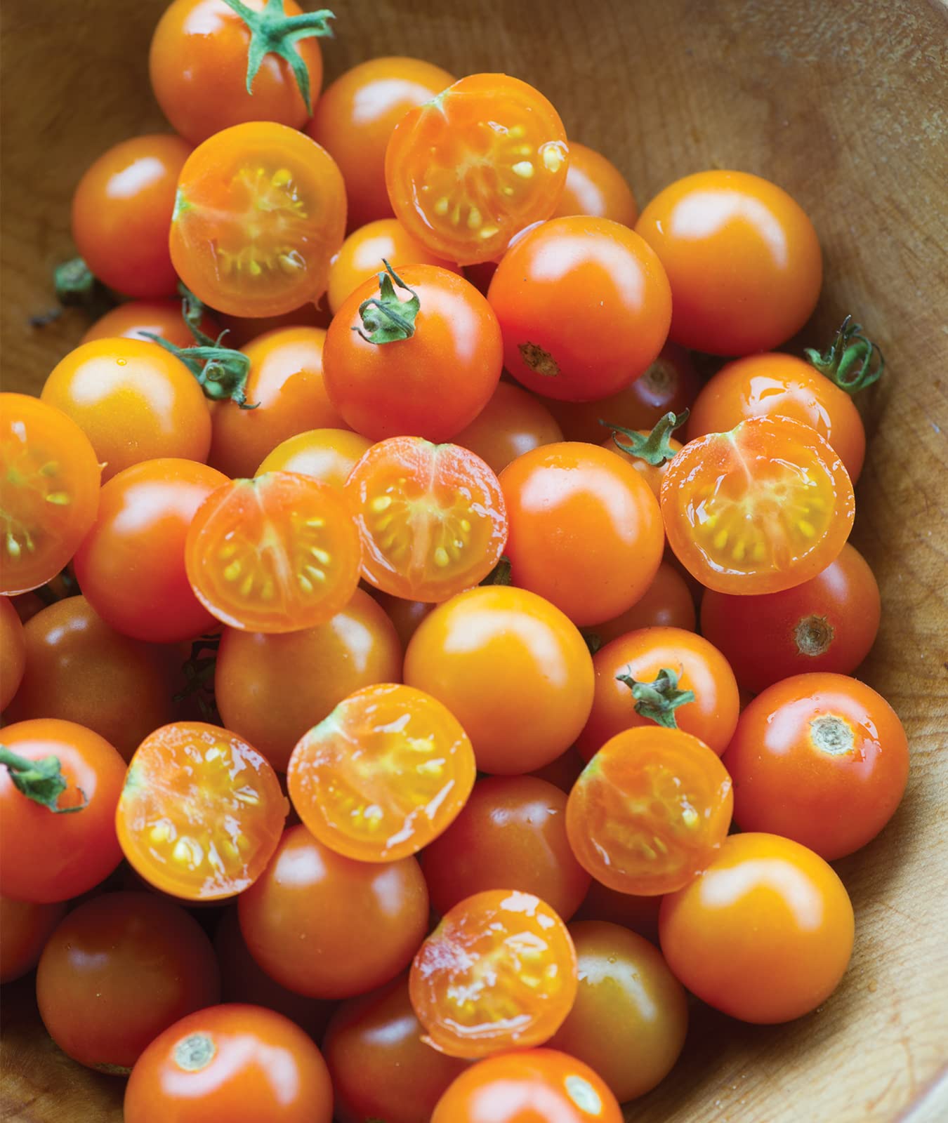 Sungold Tomato,Cherry Tomato Seeds