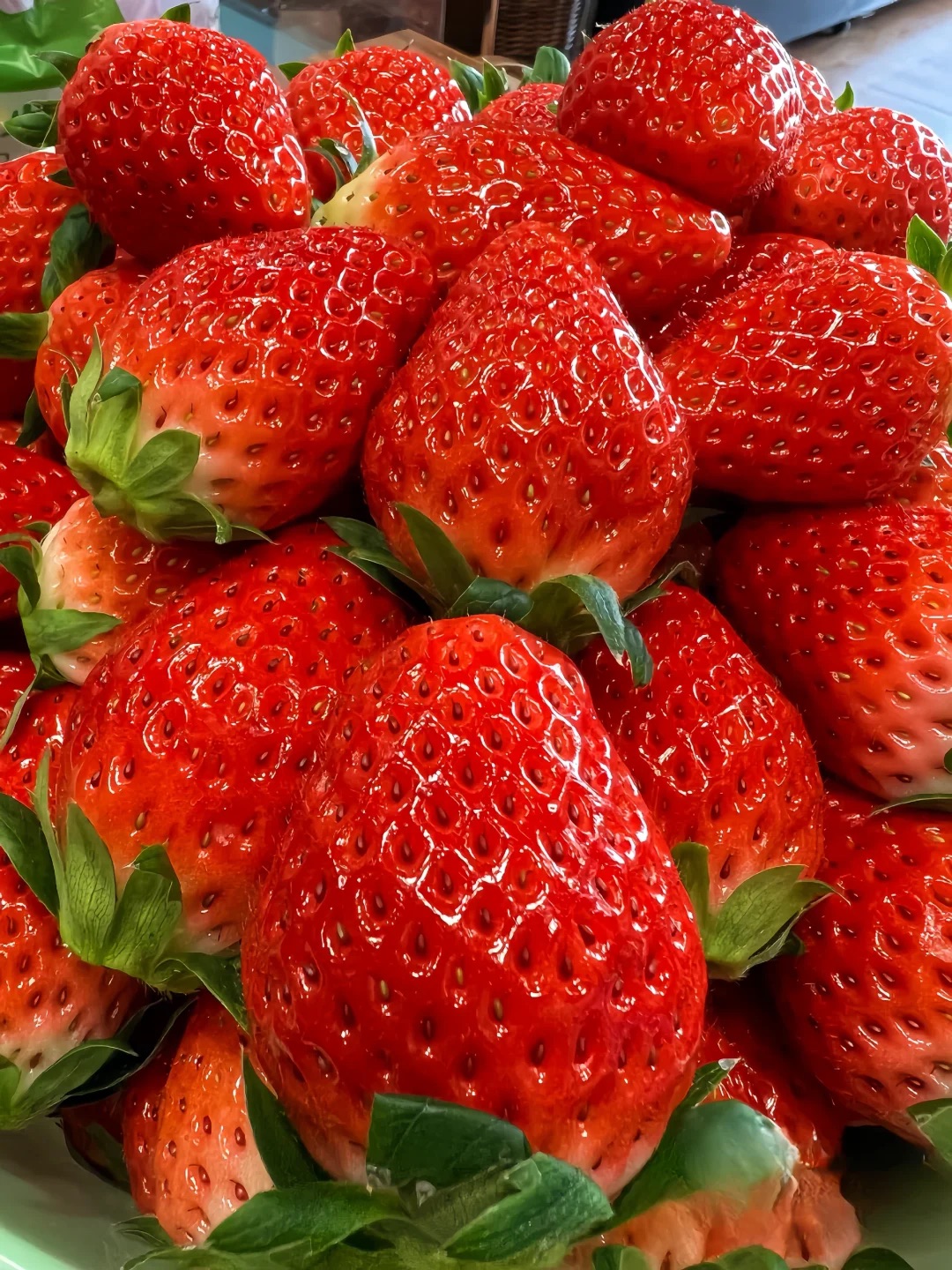 All-season Strawberry Seeds 🍓EverBloom Berries